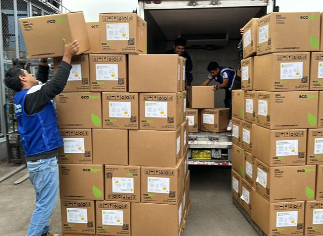 empresa transporte carga pesada lima