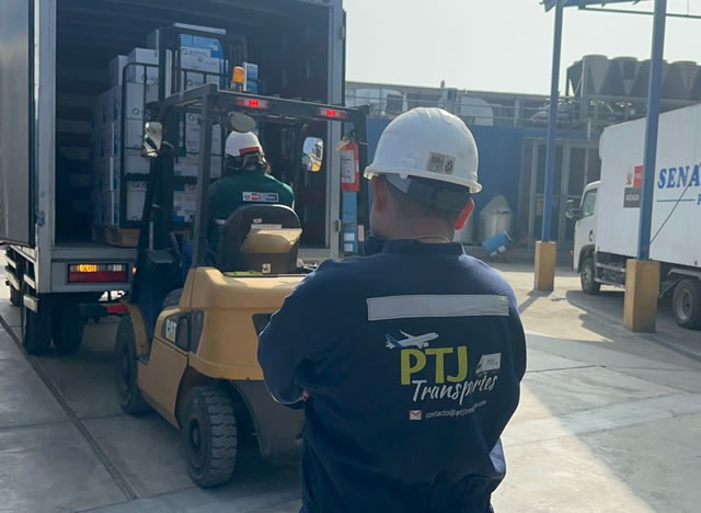 servicio  transporte carga liviana